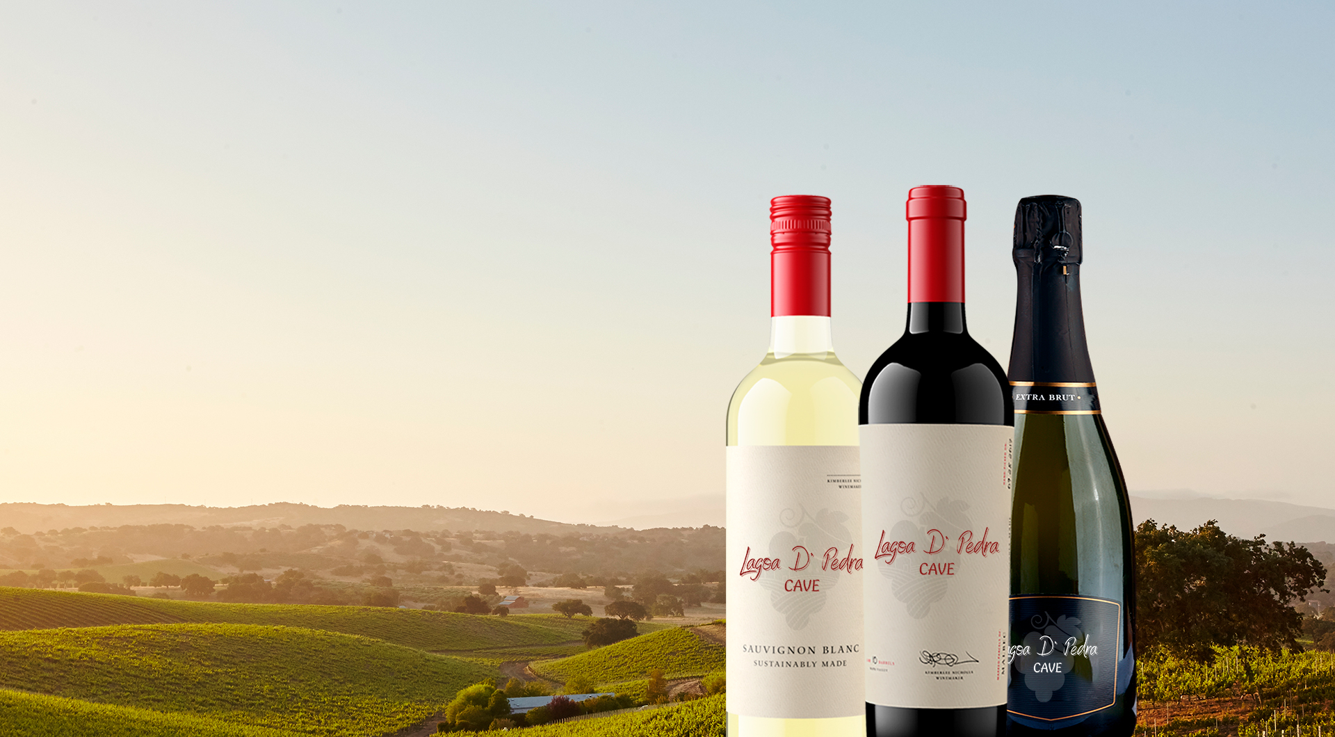 Como servir vinho na temperatura certa e impressionar seus convidados