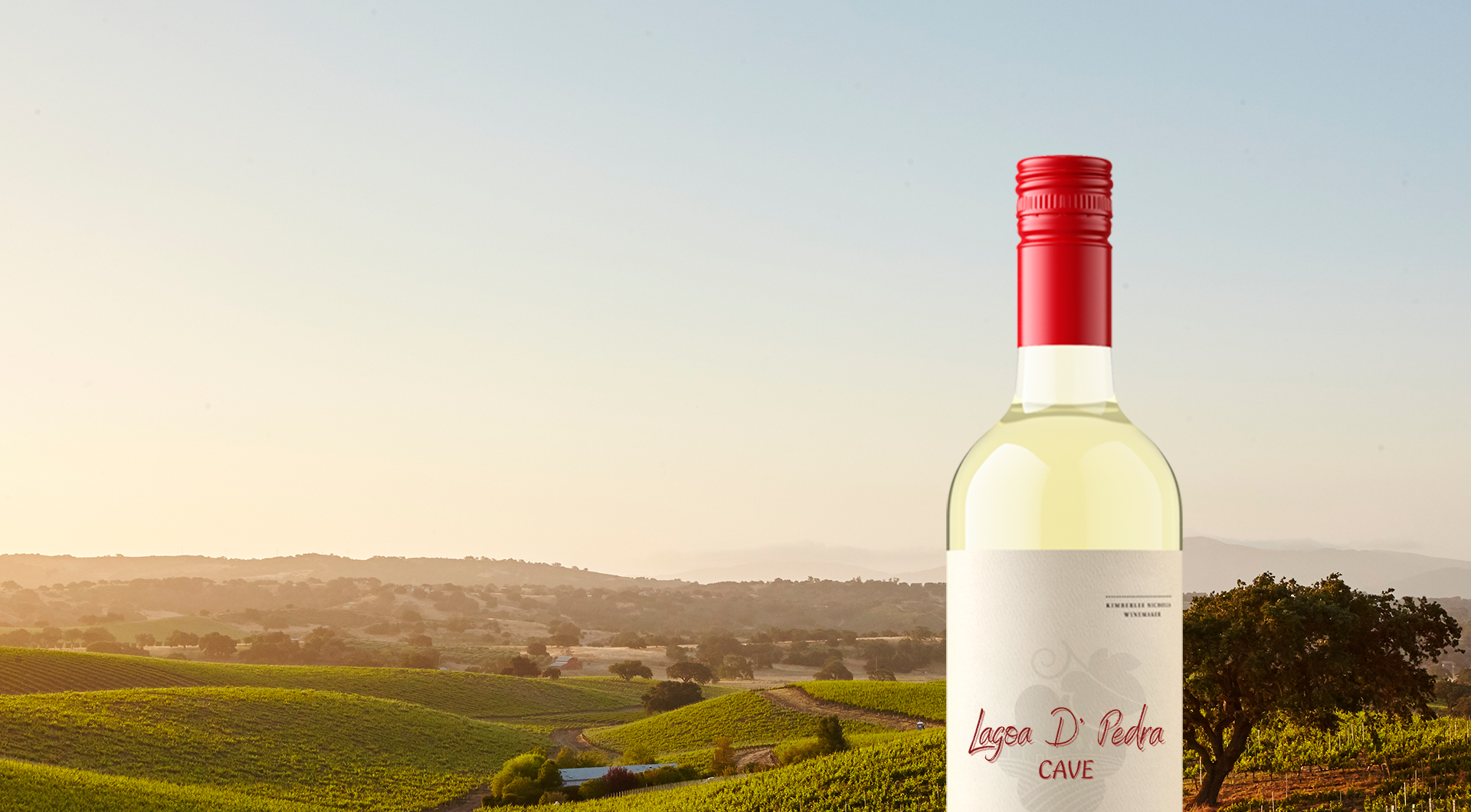 Espumante não é só para o Ano Novo: veja quando e como beber